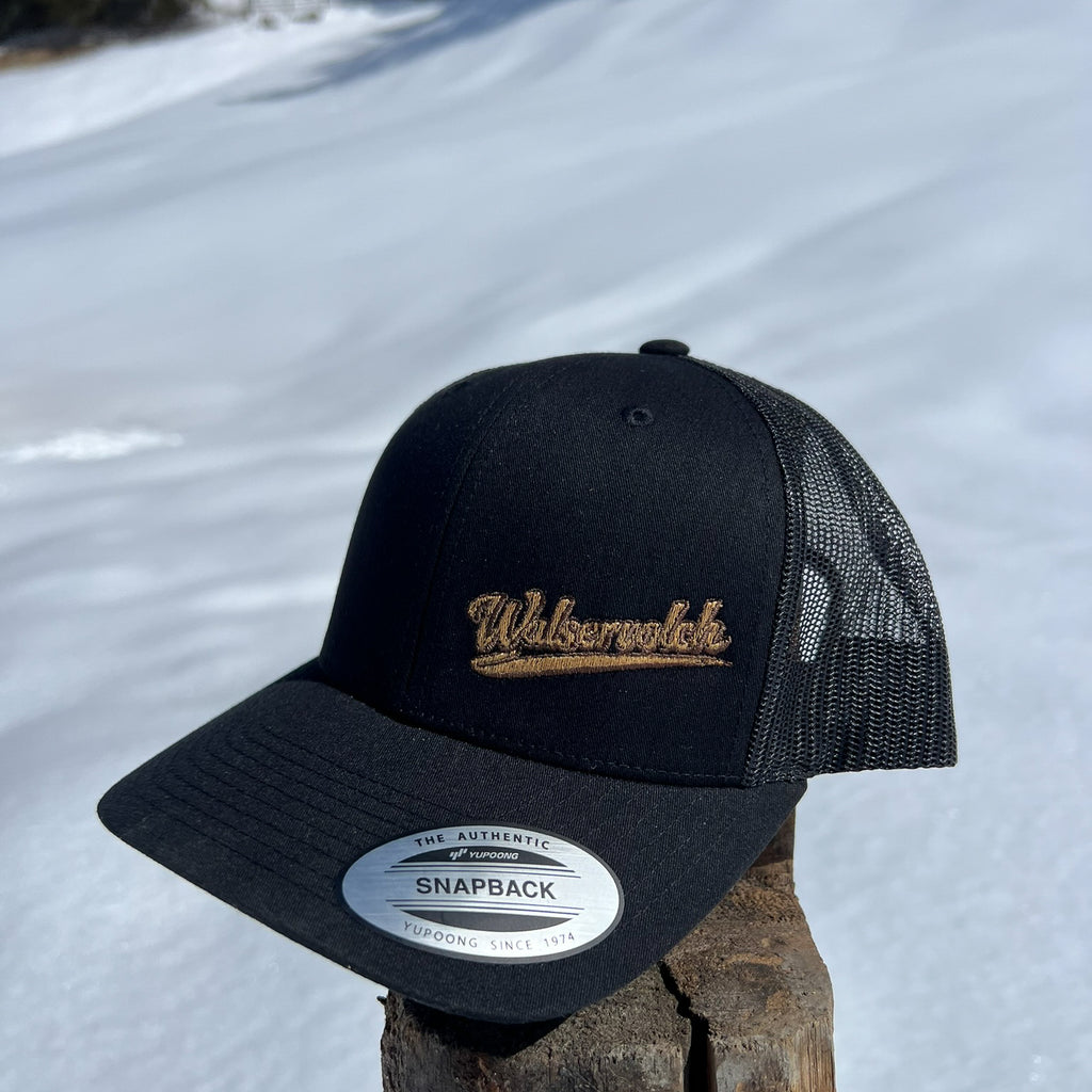 Cap - Häimetschpraach - Walservolch