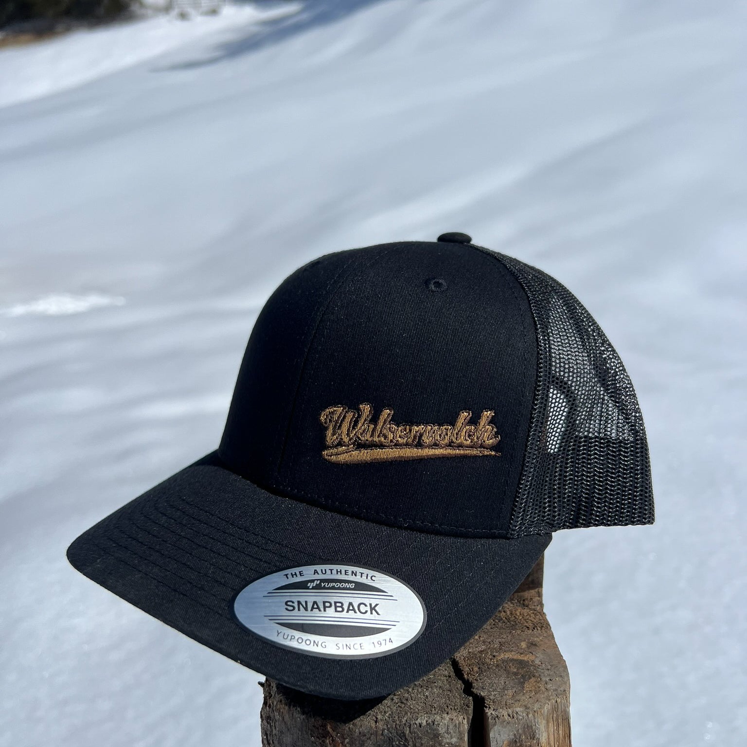 Cap - Häimetschpraach - Walservolch